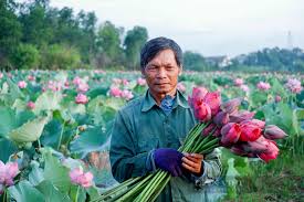 Nguyễn Đình Lan