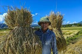 Phạm Đức Thành
